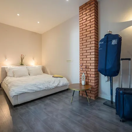 2 Bedroom 2 Bathroom Loft With Terrace By The Opera Lejlighed